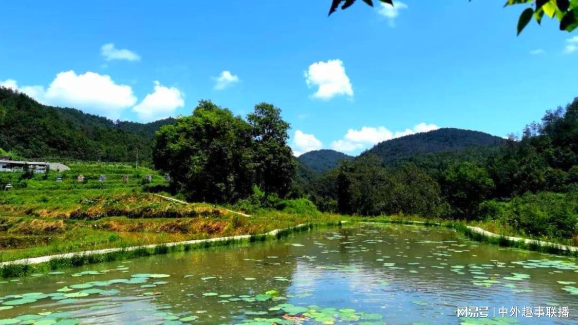 国家卫健委启动最高层级医政调查