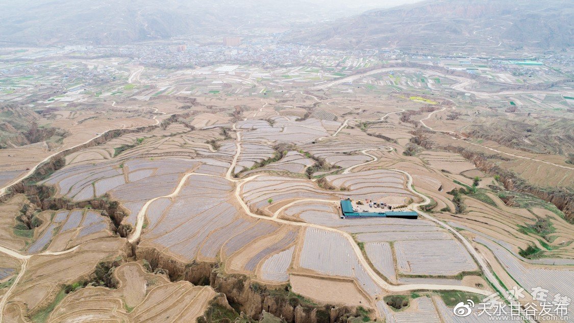 播放量赚钱的平台有哪些